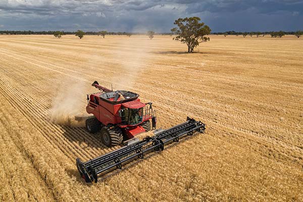 A red harvester in action on a wheat field